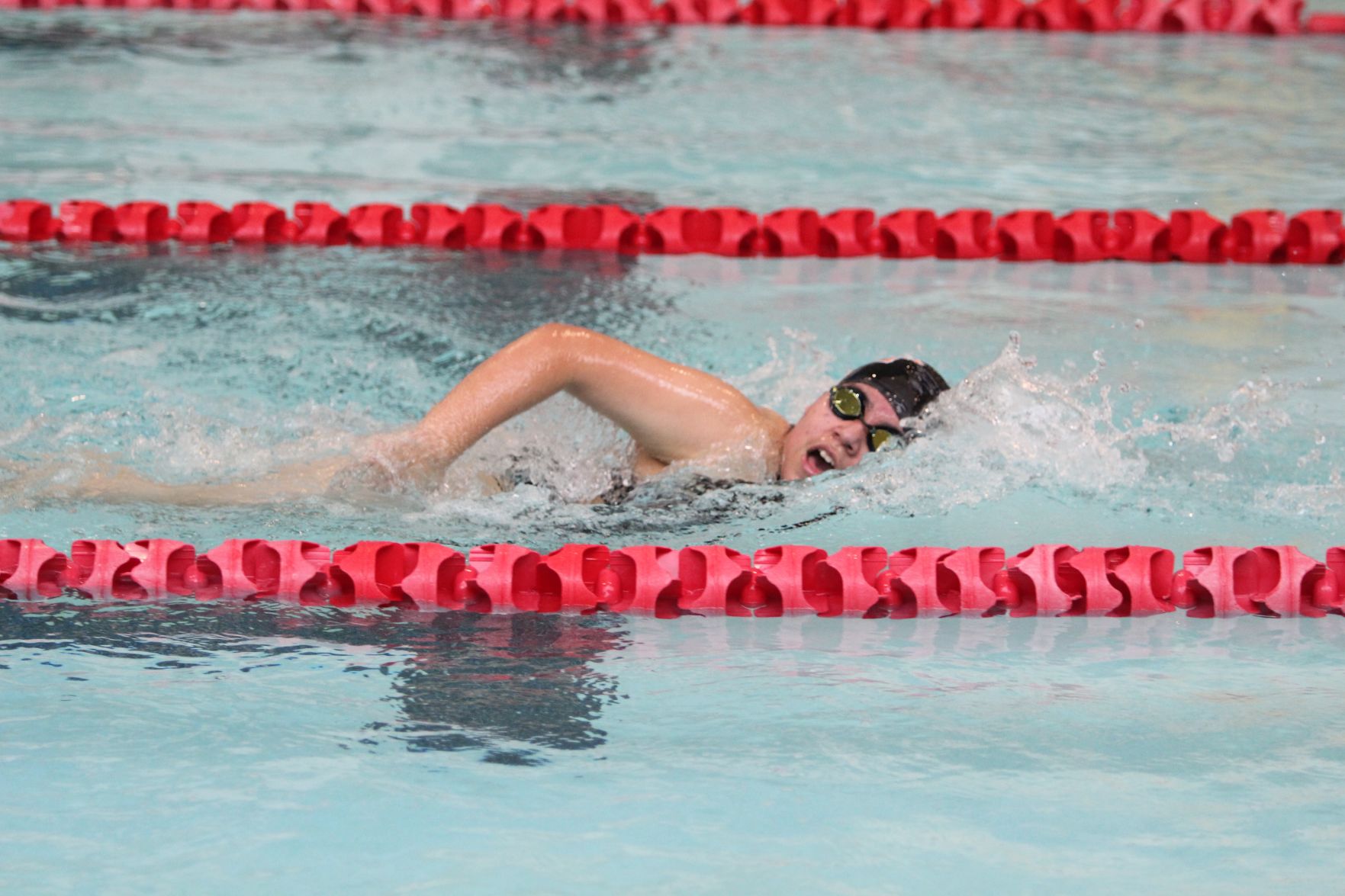swim.jpg